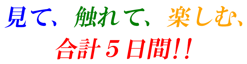 ガレージセール