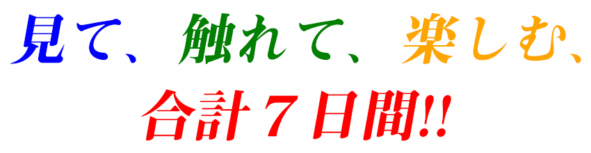 ガレージセール