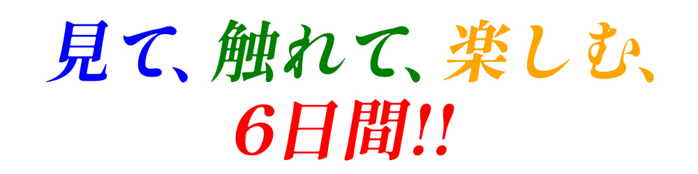 ガレージセール