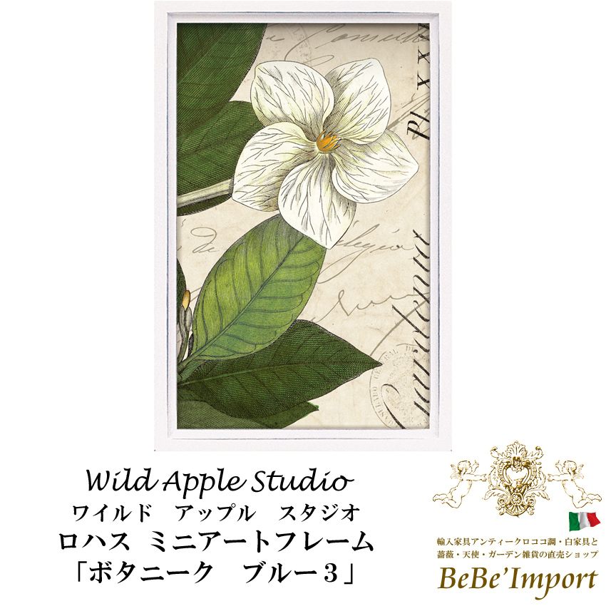 額絵