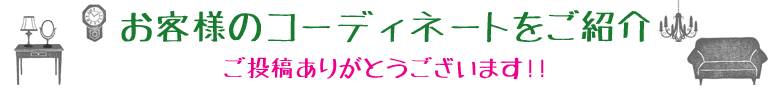 おうち自慢