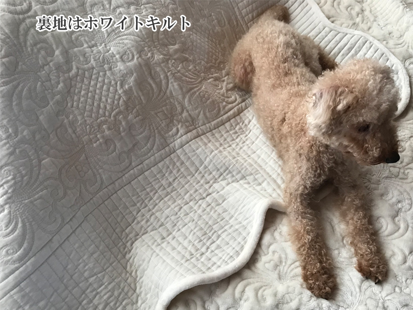 レースファブリック