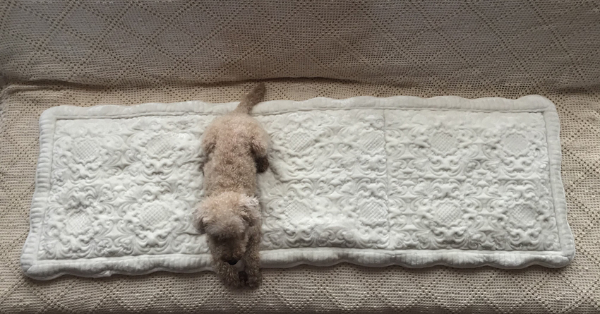 レースファブリック