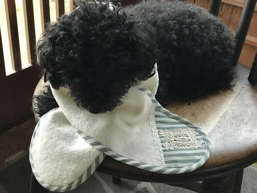 レースファブリック