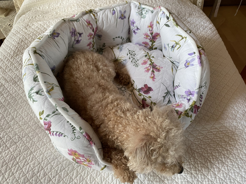 20％OFF／ botany white ボタニーホワイトマルチキルト FO