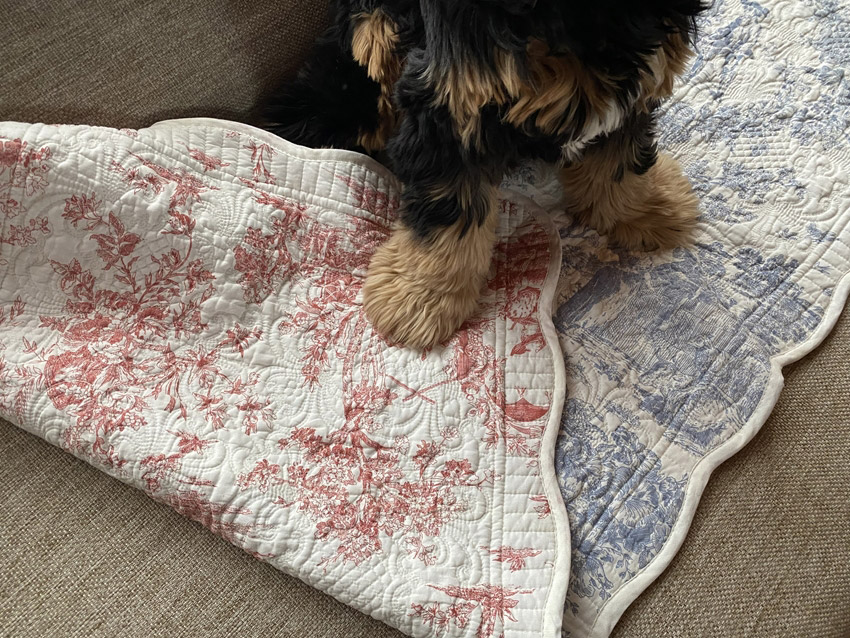 レースファブリック